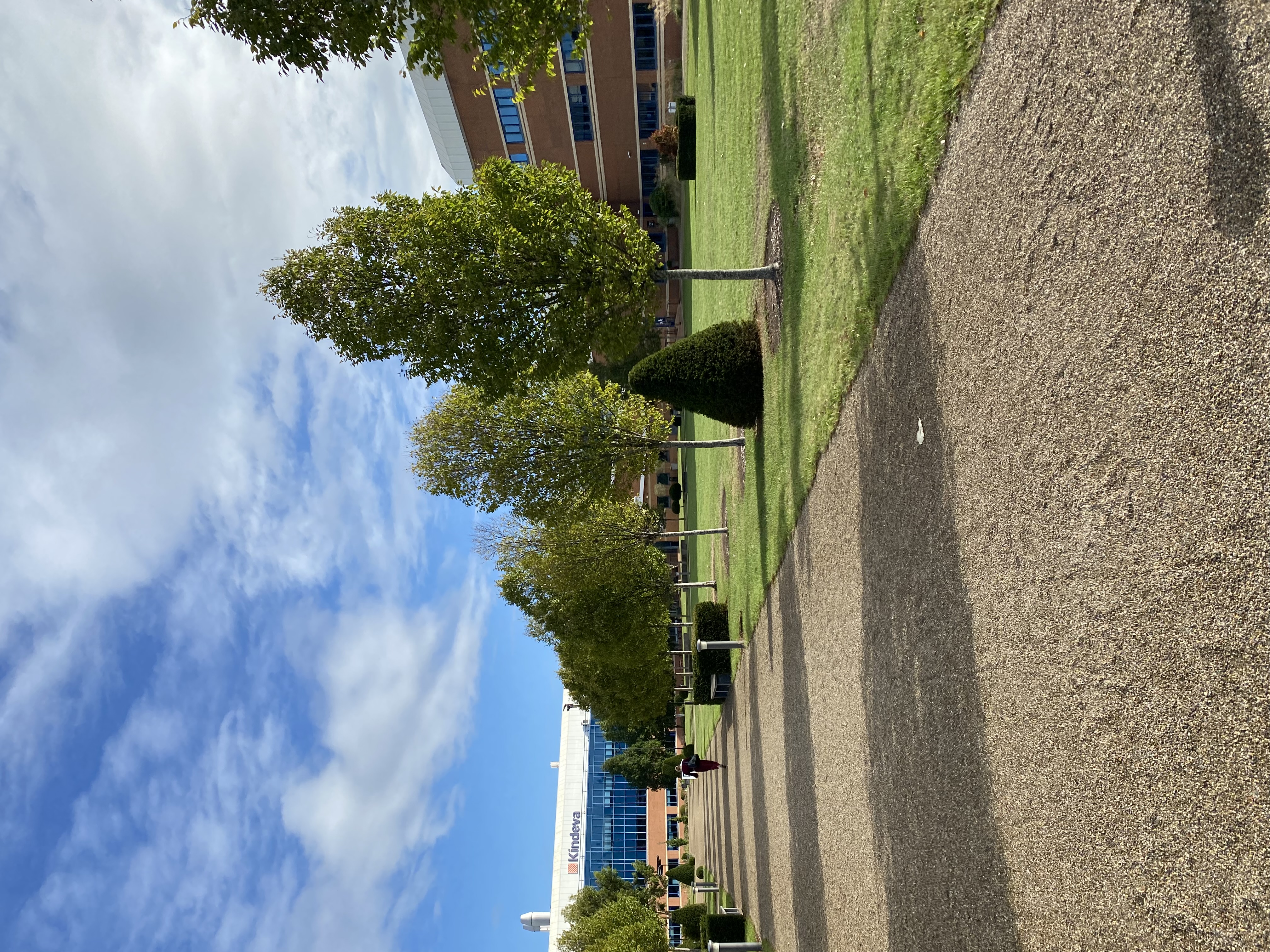 A photograph of the Health Data Research-UK (HDR-UK) Midlands Annual Conference site in Loughborough. It shows a paved walkway lined with trees on a sunny day.