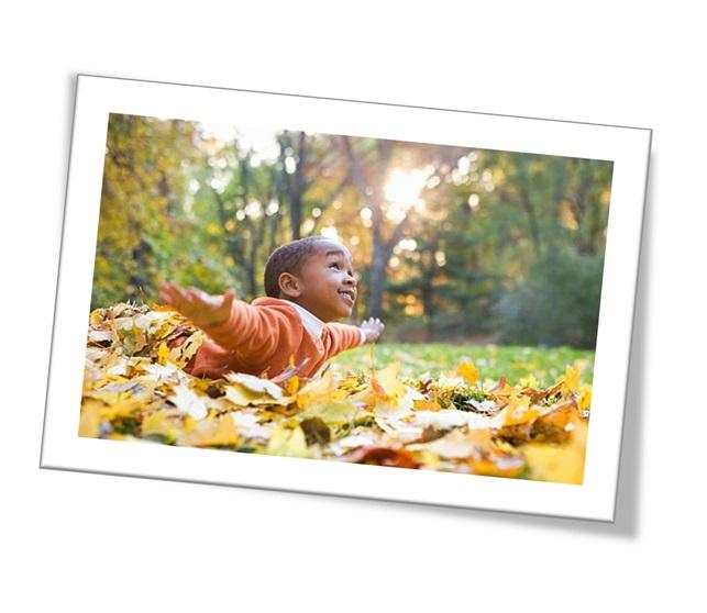 Young boy lying down in autumnal leaves