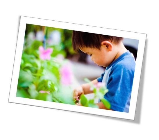 Young boy picking flowers