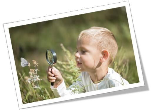 Young boy using a magnifying glass to look at a butterfly